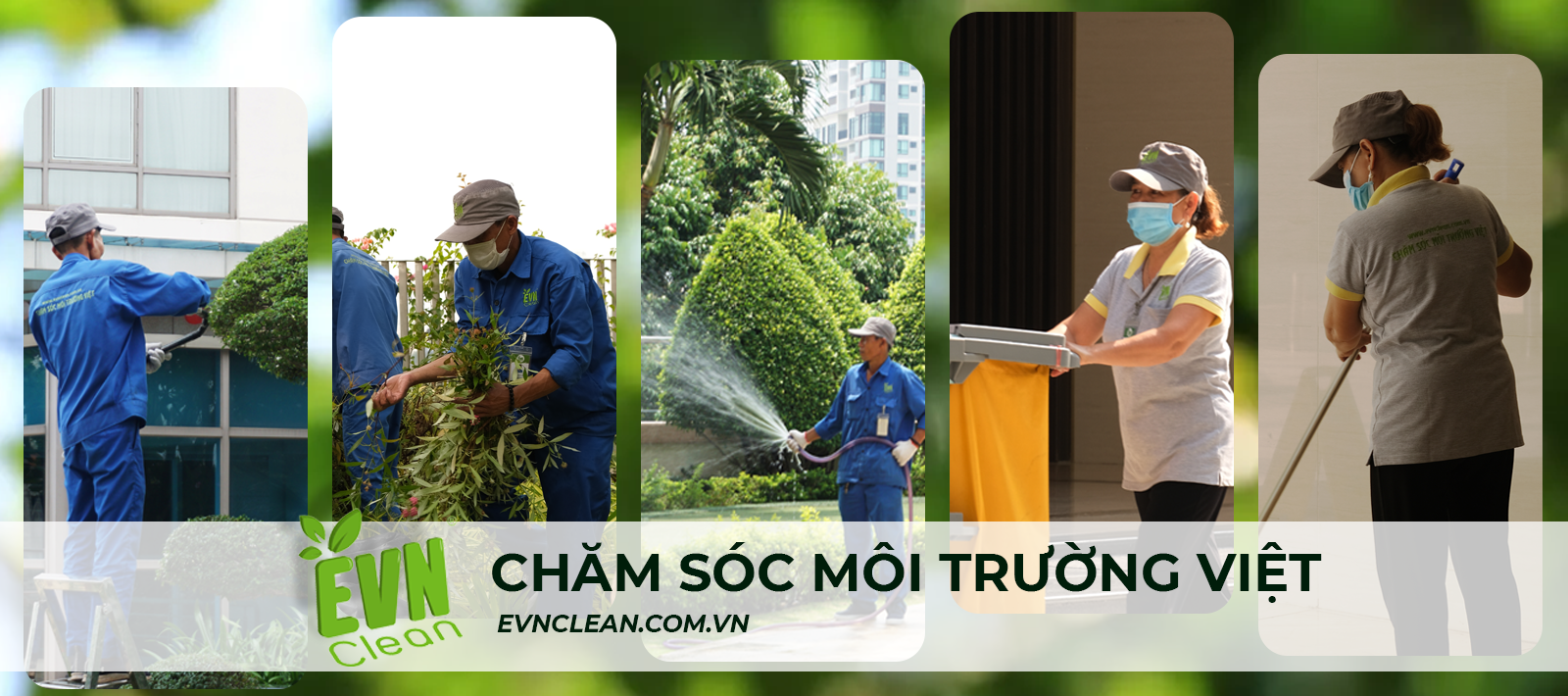 Dịch vụ chăm sóc cây trồng và vệ sinh công nghiệp EVN CLEAN